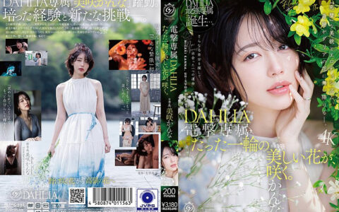 DLDSS-532 สาวExclusiveสวยหยดที่หลุดมาแบบไม่เซ็นเซอร์ Kanna Misaki